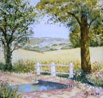 Summer Lane